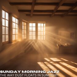 Cover of The Way Dust Floats in Sunlight