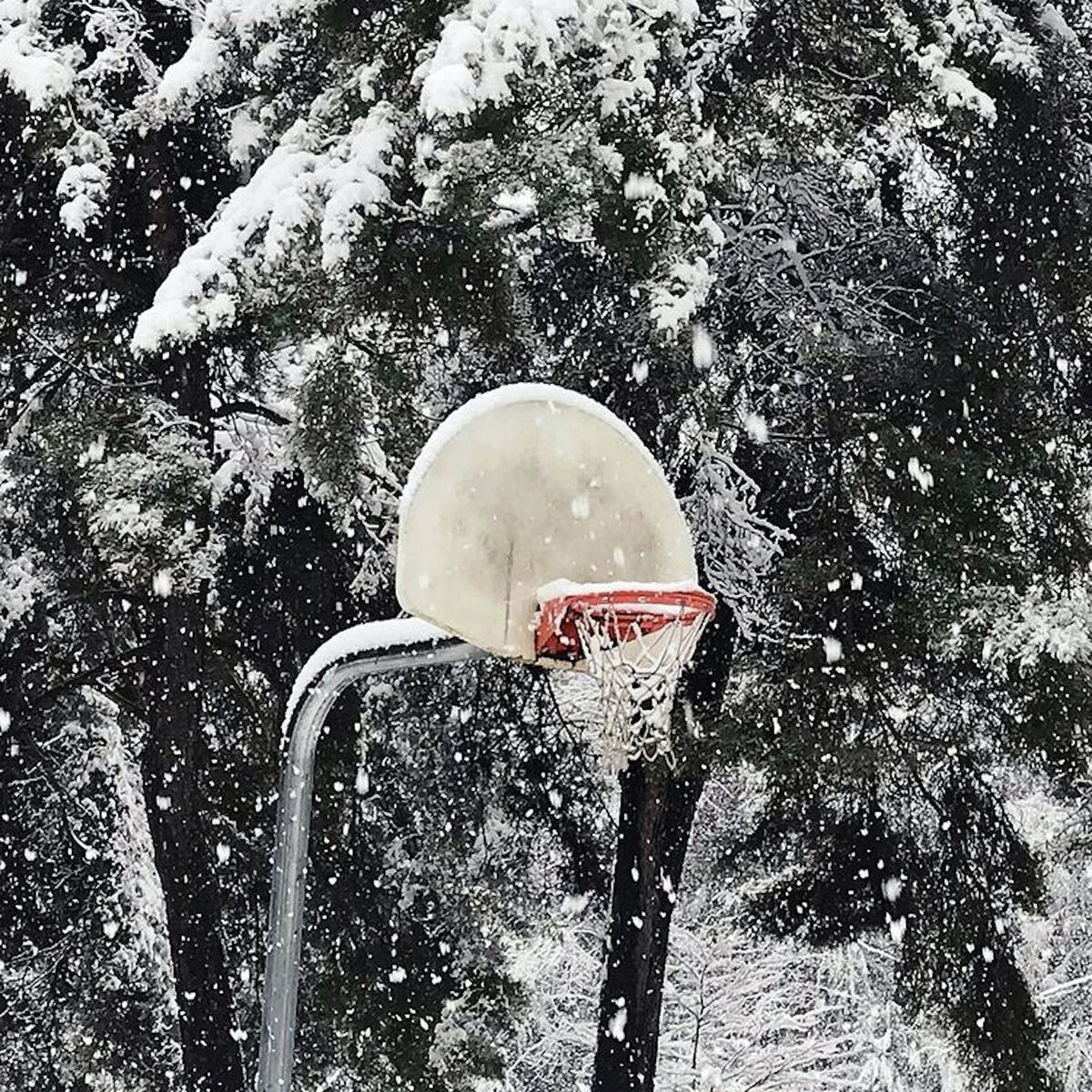 Album cover of Winter White