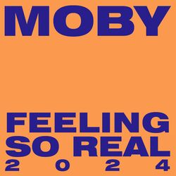 Cover of Feeling So Real 2024