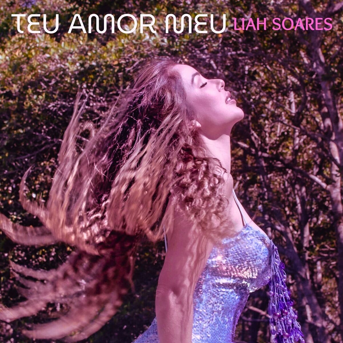 Album cover of Teu Amor Meu