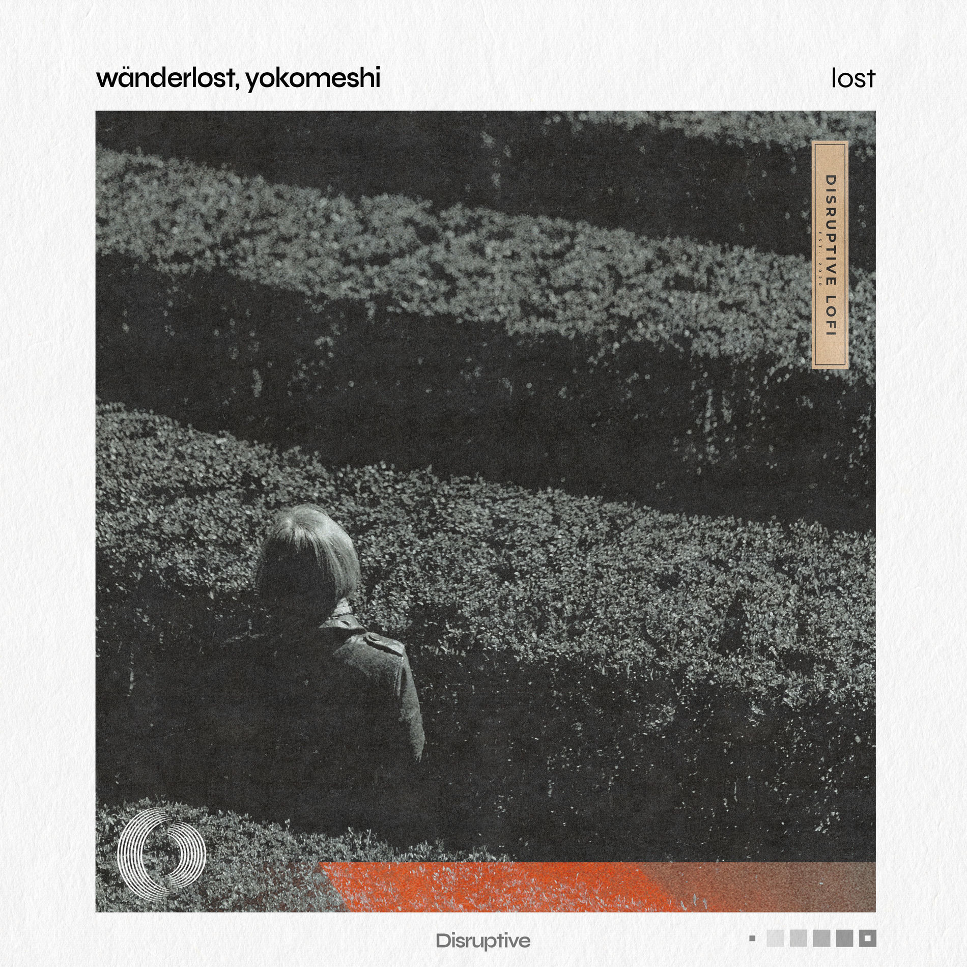 Album cover of Lost