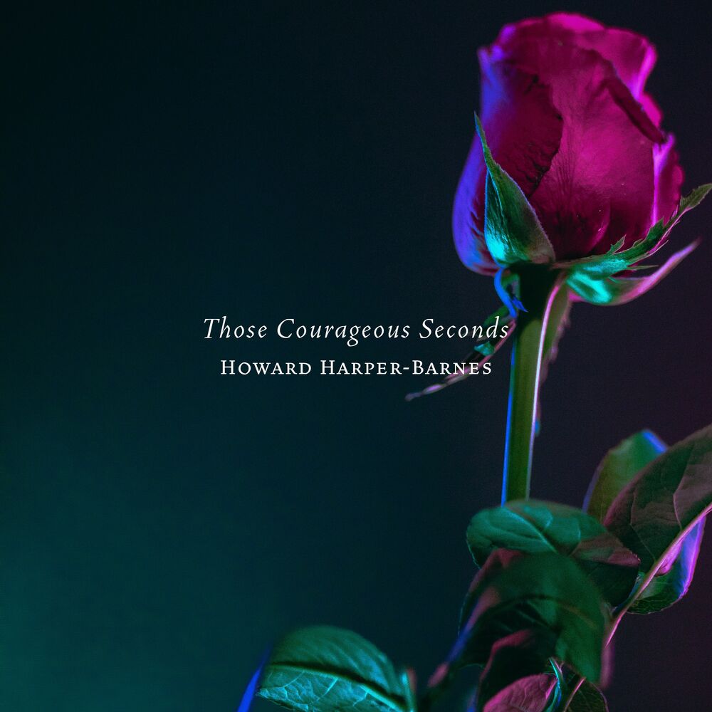 Picture of Those Courageous Seconds