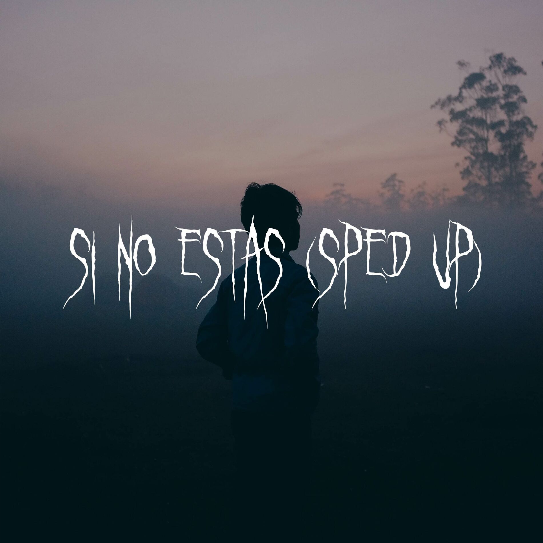 Album cover of Si No Estás