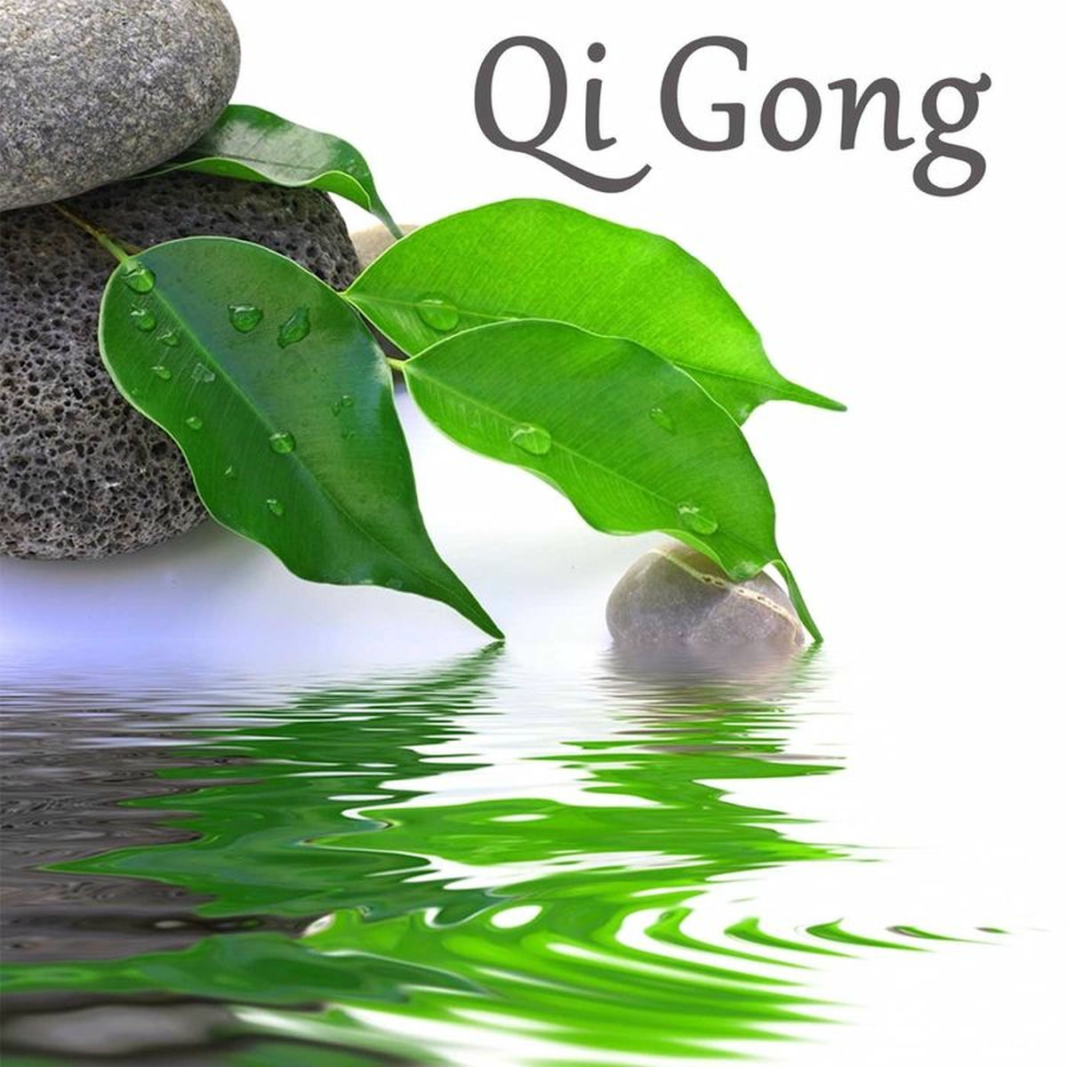 Album cover of Qi Gong