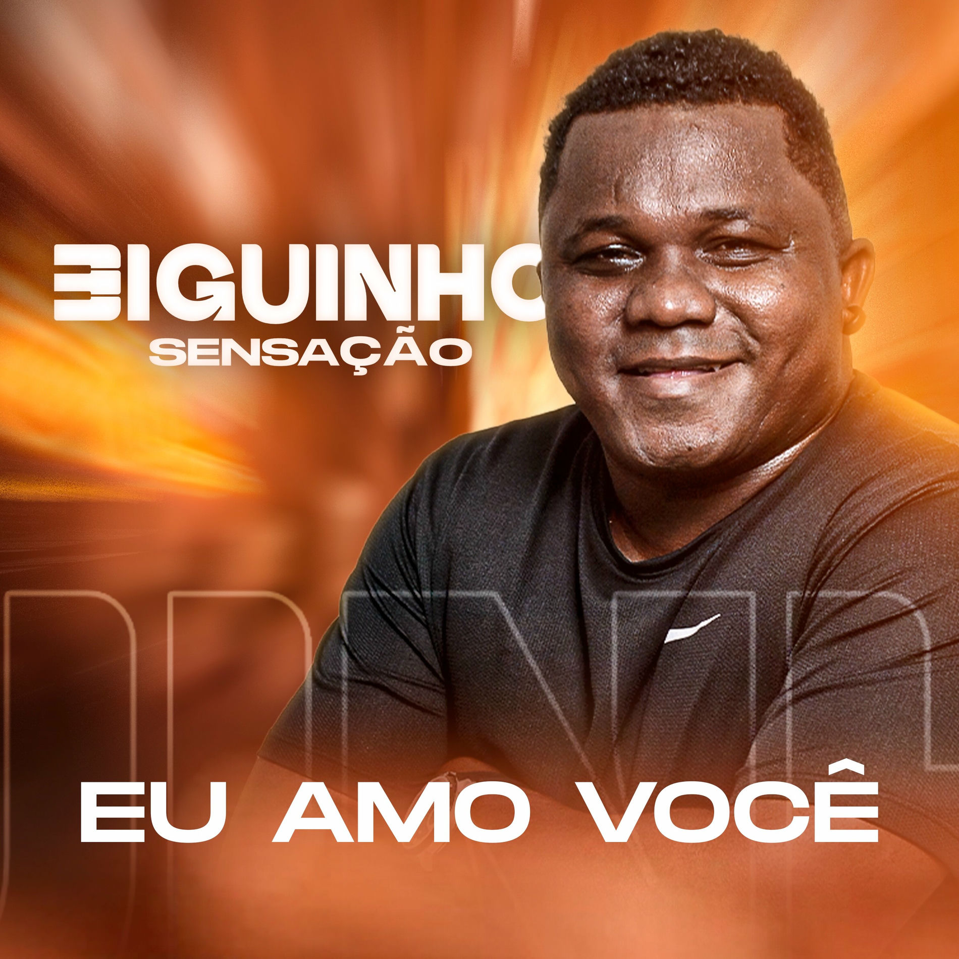 Album cover of Eu Amo Você