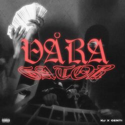Cover of VÅRA GATOR