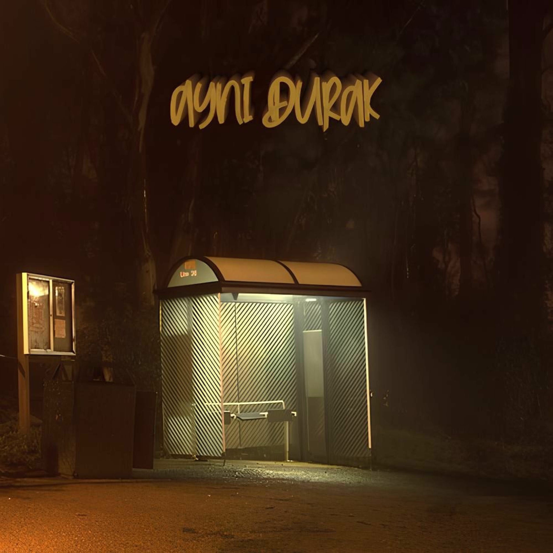 Album cover of Aynı Durak (feat. Lary)