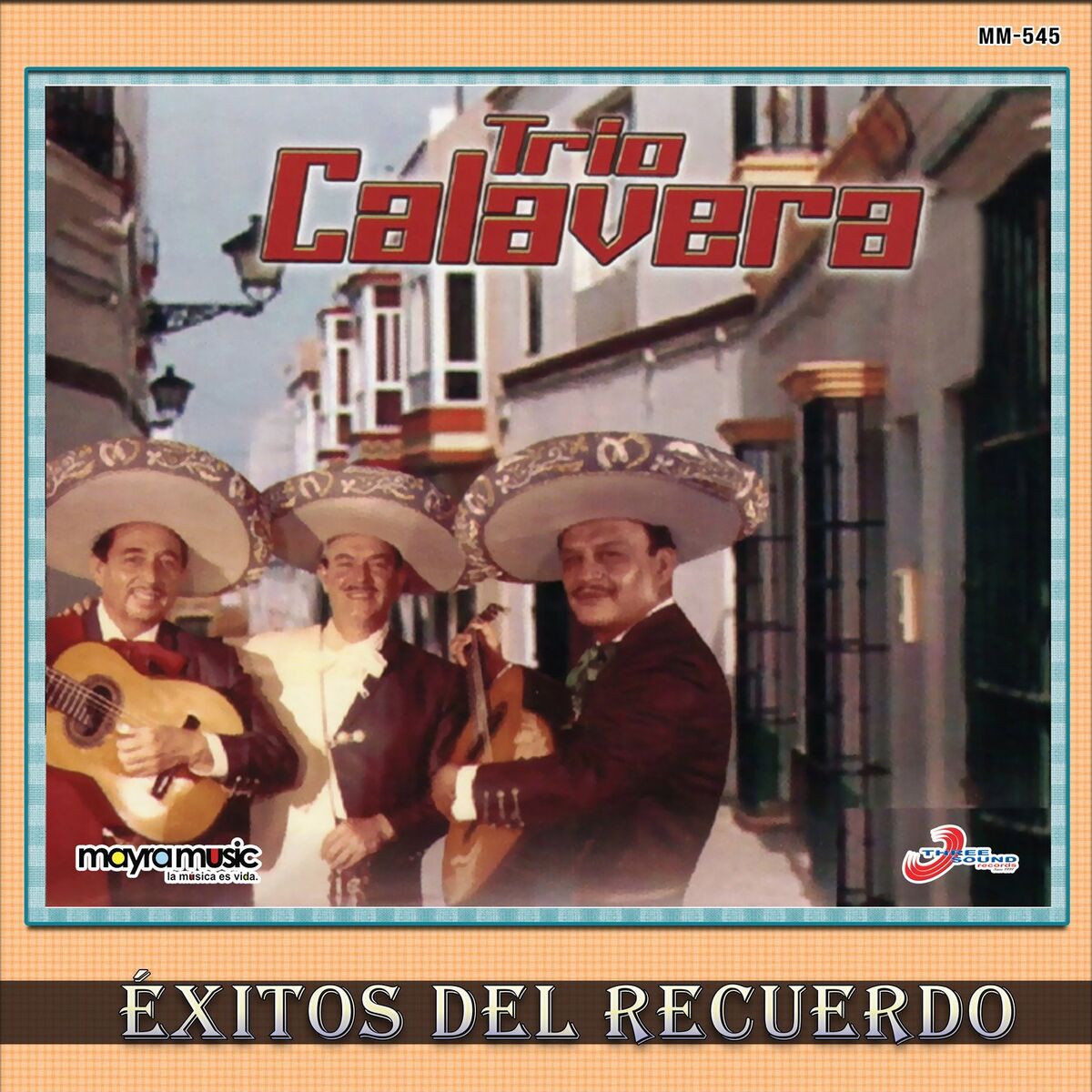 Album cover of Éxitos Del Recuerdo