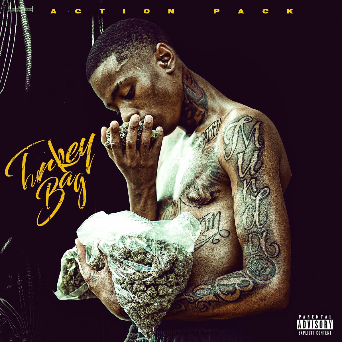 Album cover of Turkey Bag