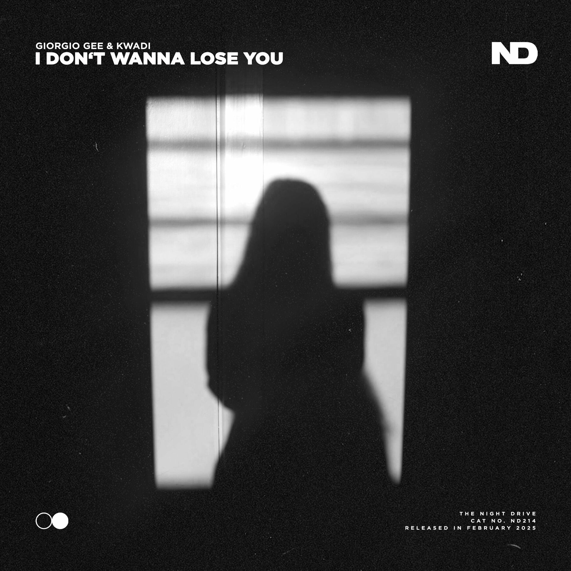 Album cover of I Don't Wanna Lose You