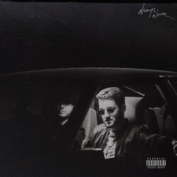 Cover of Always Never