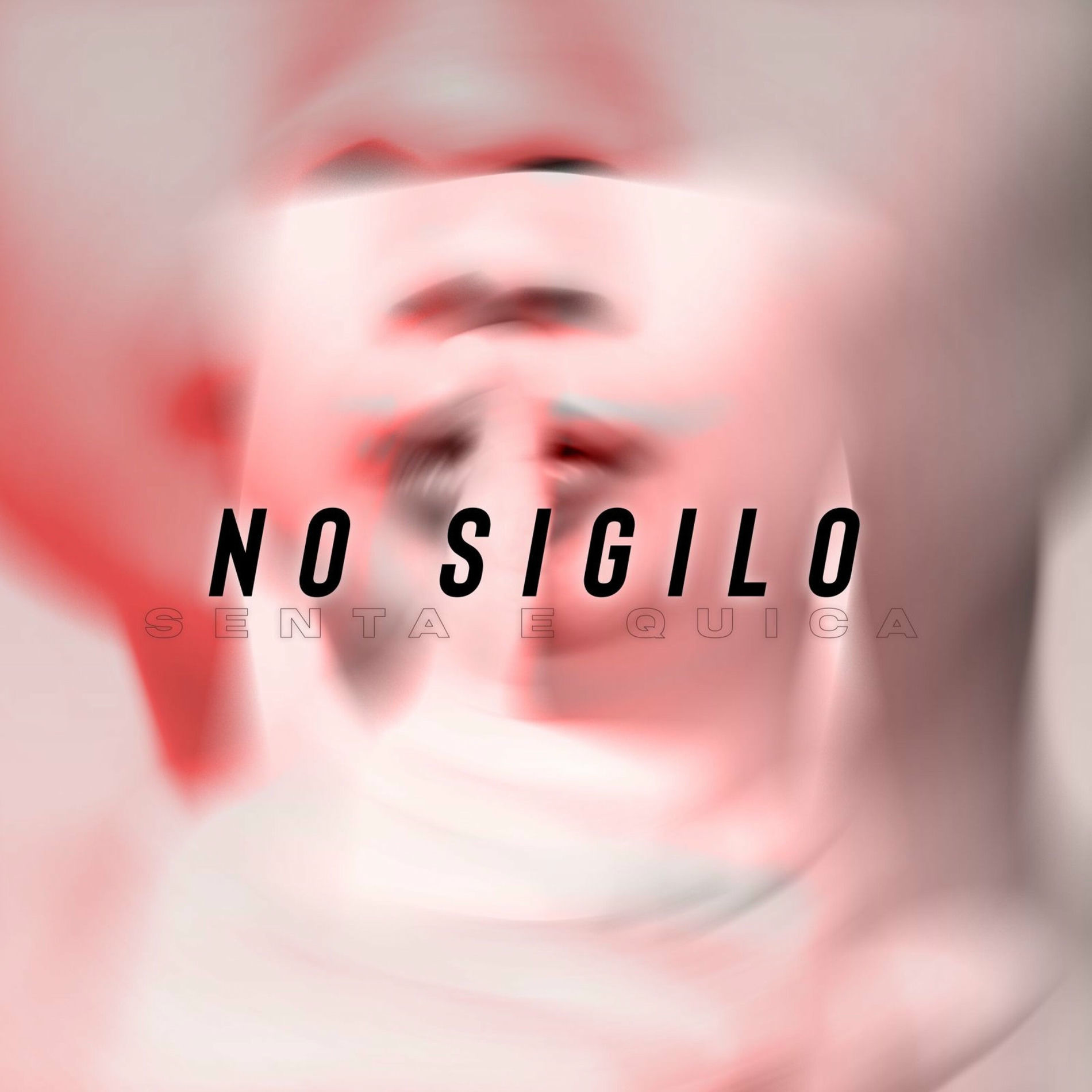 Album cover of No Sigilo Senta e Quica