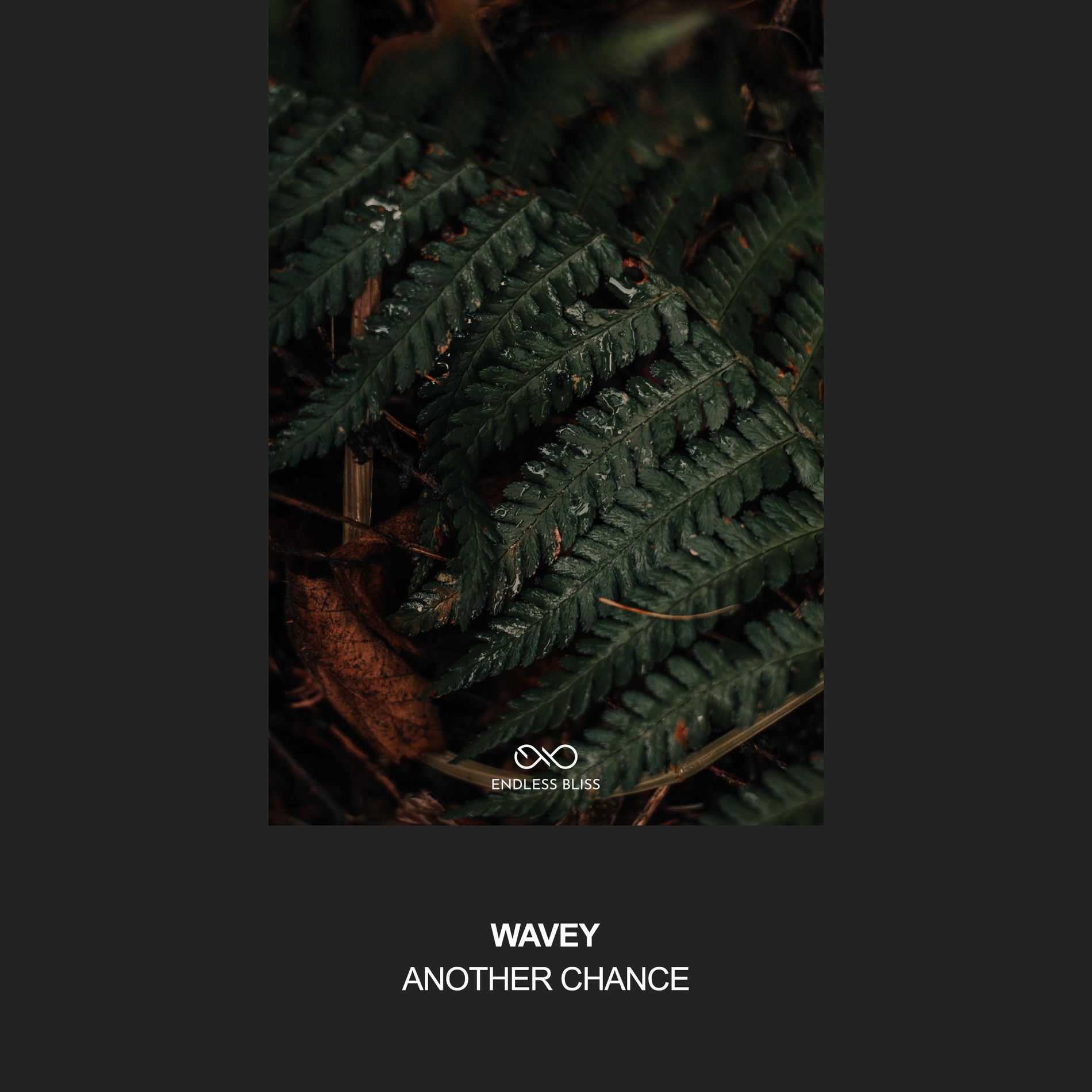 Album cover of Another Chance