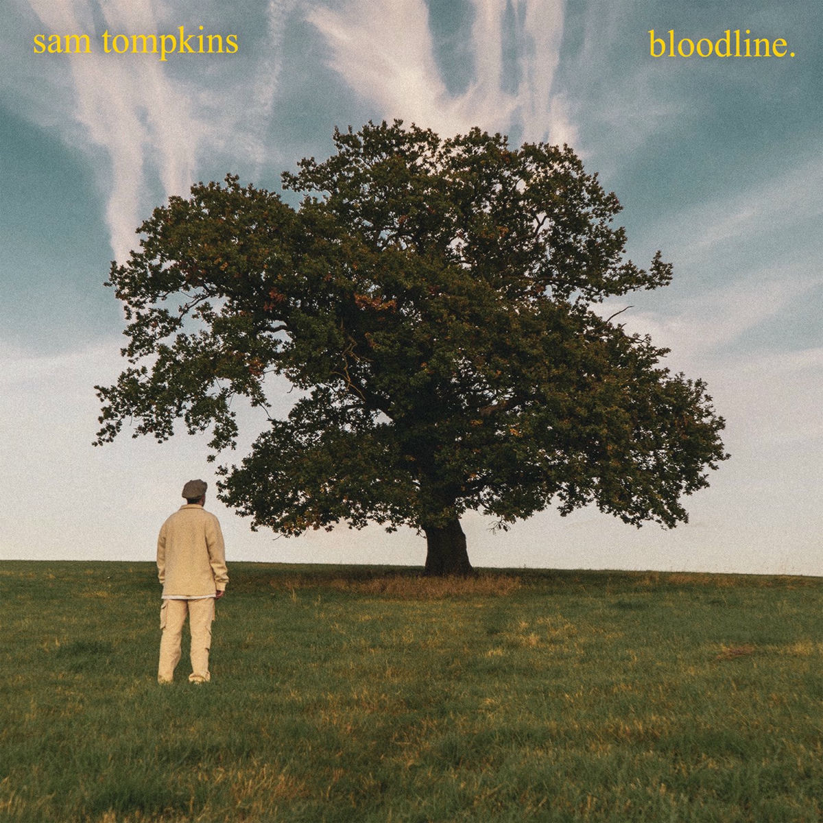 Album cover of Bloodline