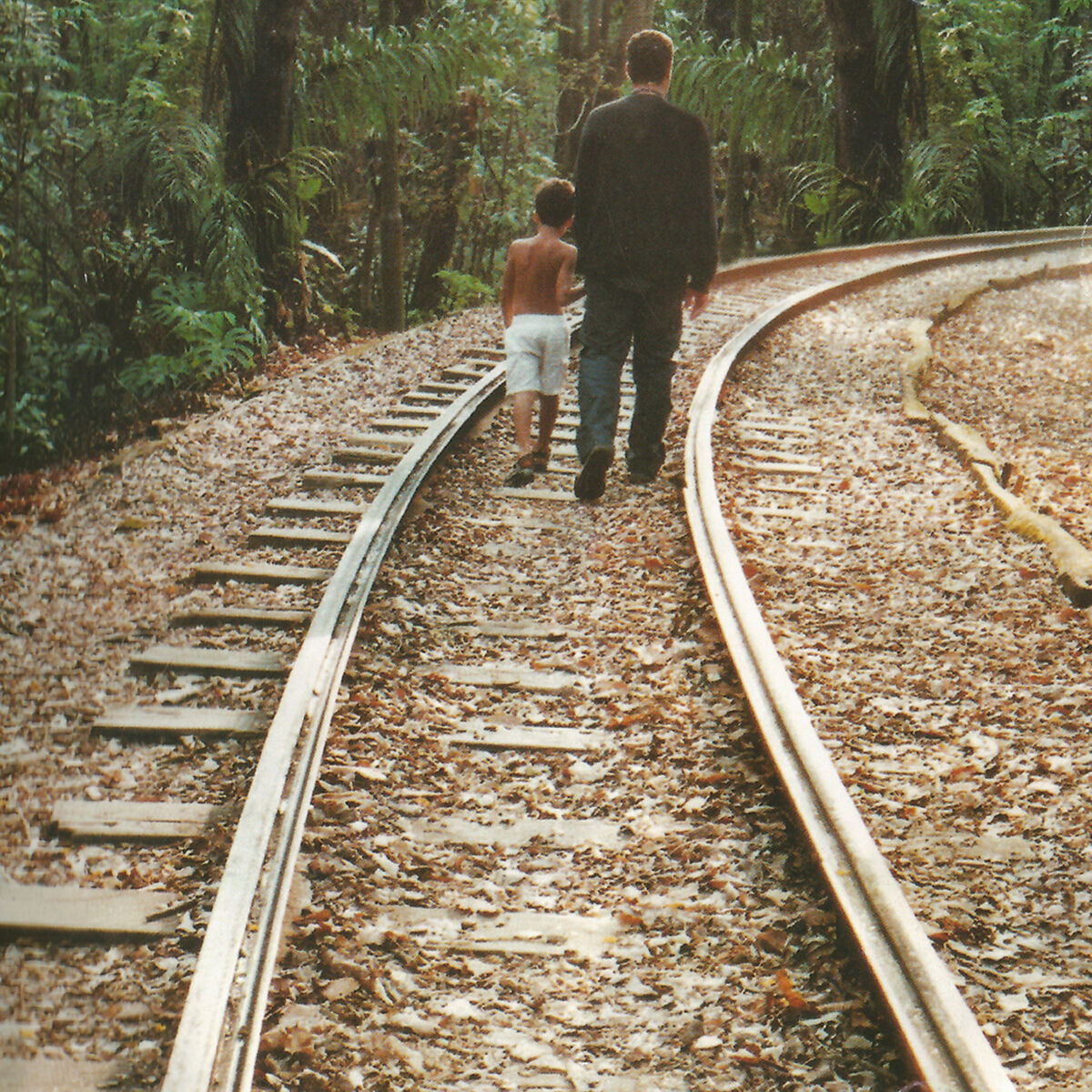 Album cover of Alexandre Leão