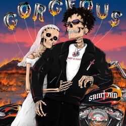 Cover of Gorgeous