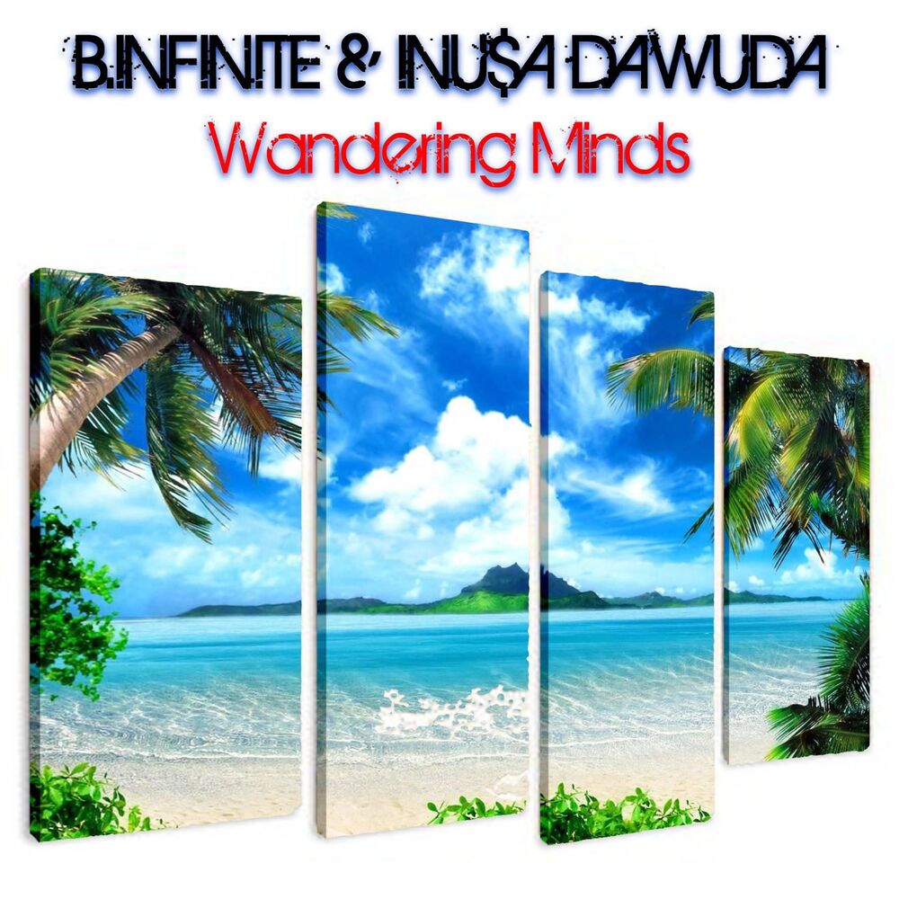 Picture of Wandering Minds