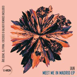 Cover of Meet Me in Madrid EP