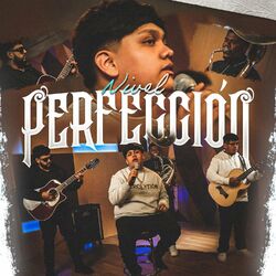 Cover of Perfección