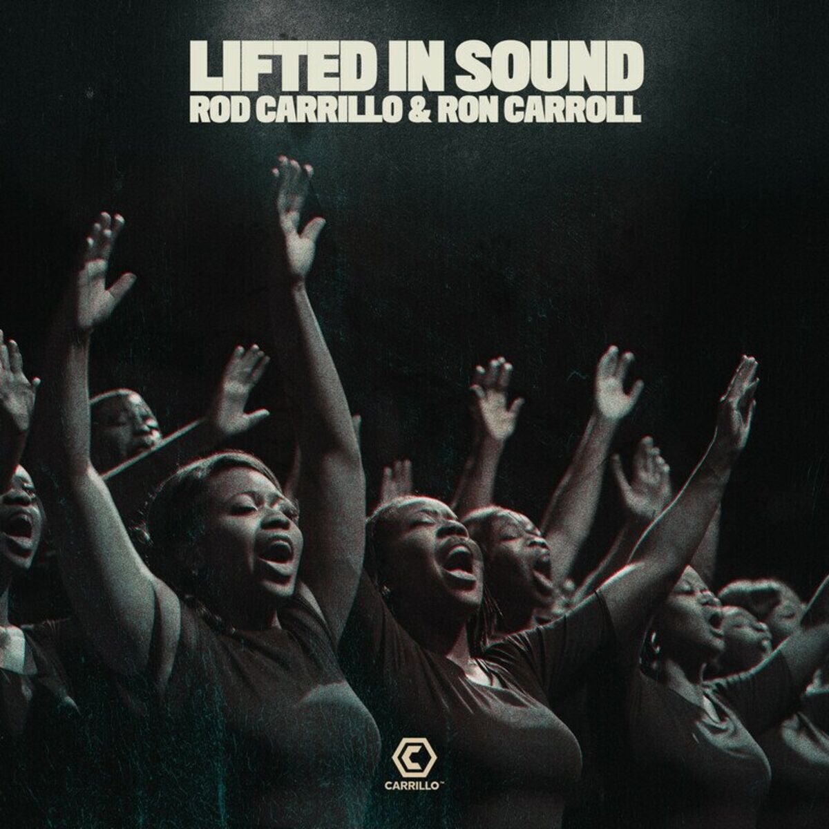 Album cover of Lifted In Sound