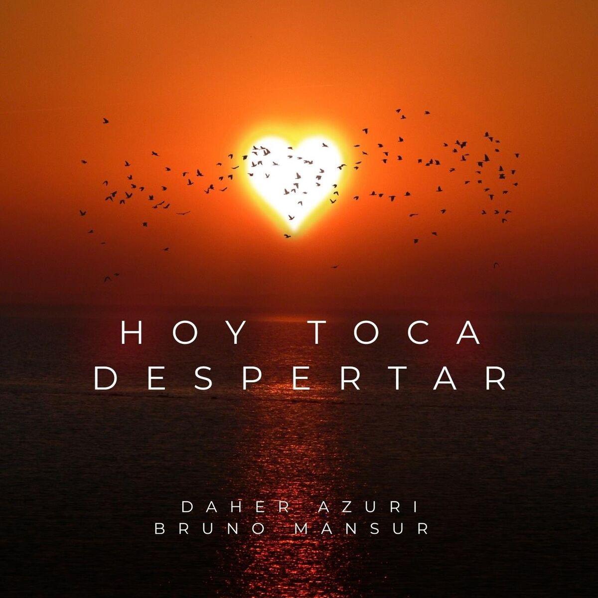 Album cover of Hoy Toca Despertar