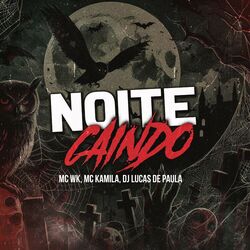 Cover of Noite Caindo