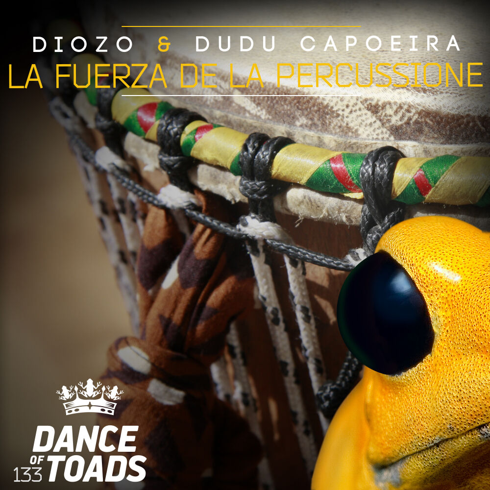 Picture of La Fuerza De La Percussione