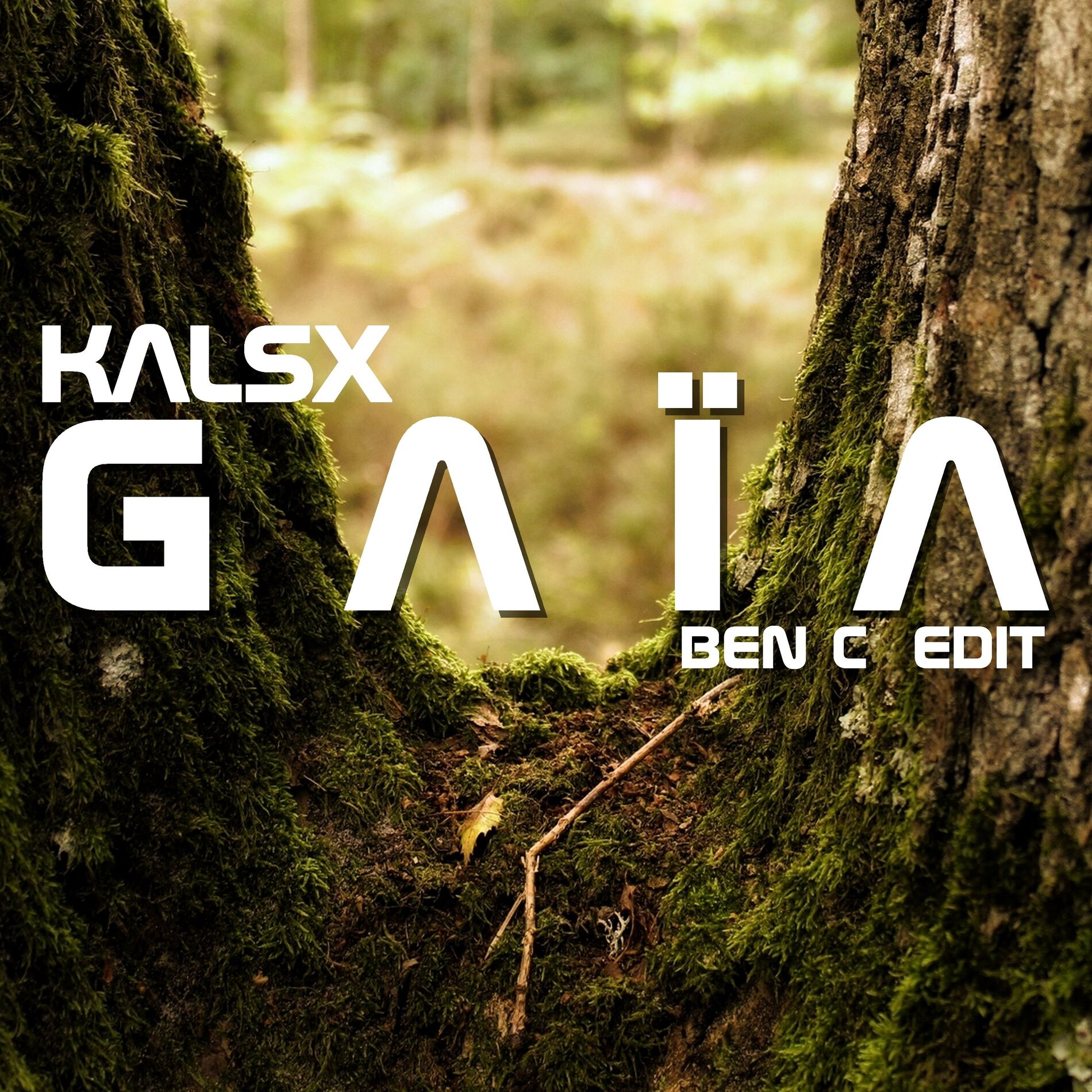 Album cover of Gaïa (Ben C Edit)