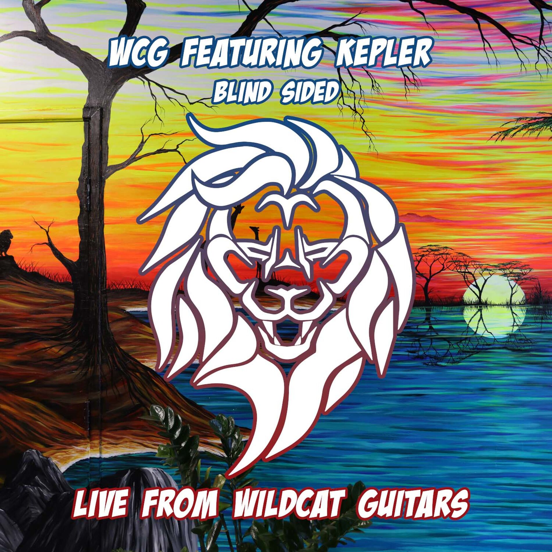 Album cover of Blind Sided (Live From Wildcat Guitars)