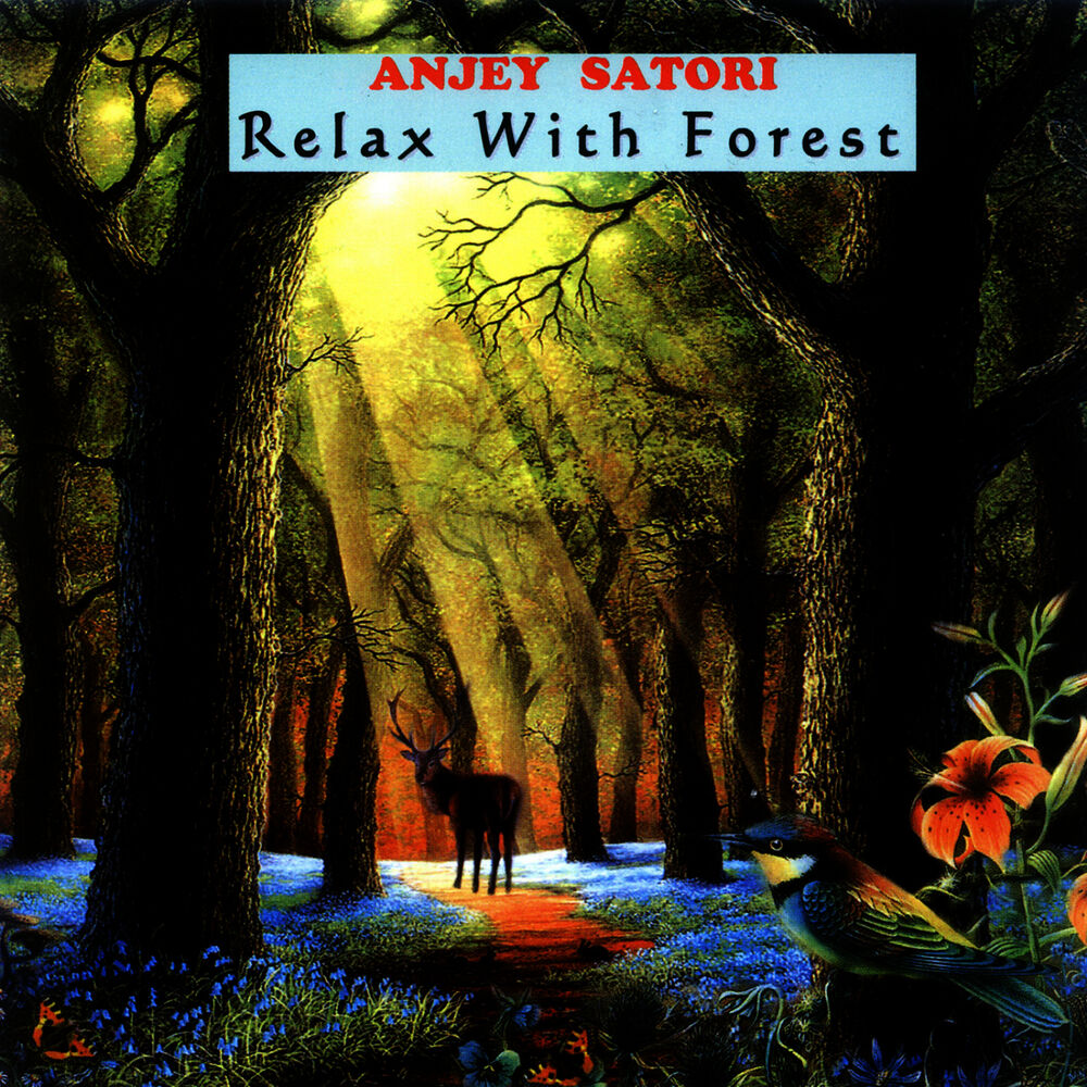 Picture of Relax With Forest
