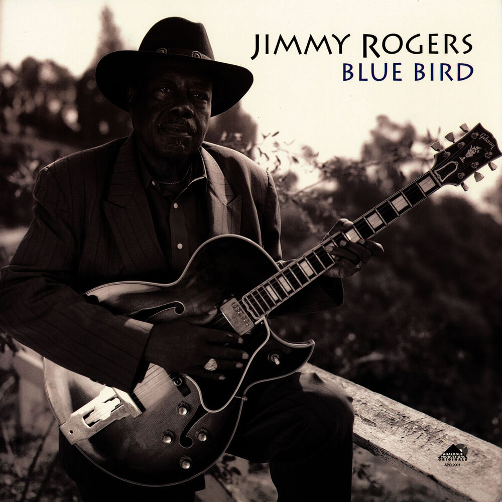Picture of Blue Bird