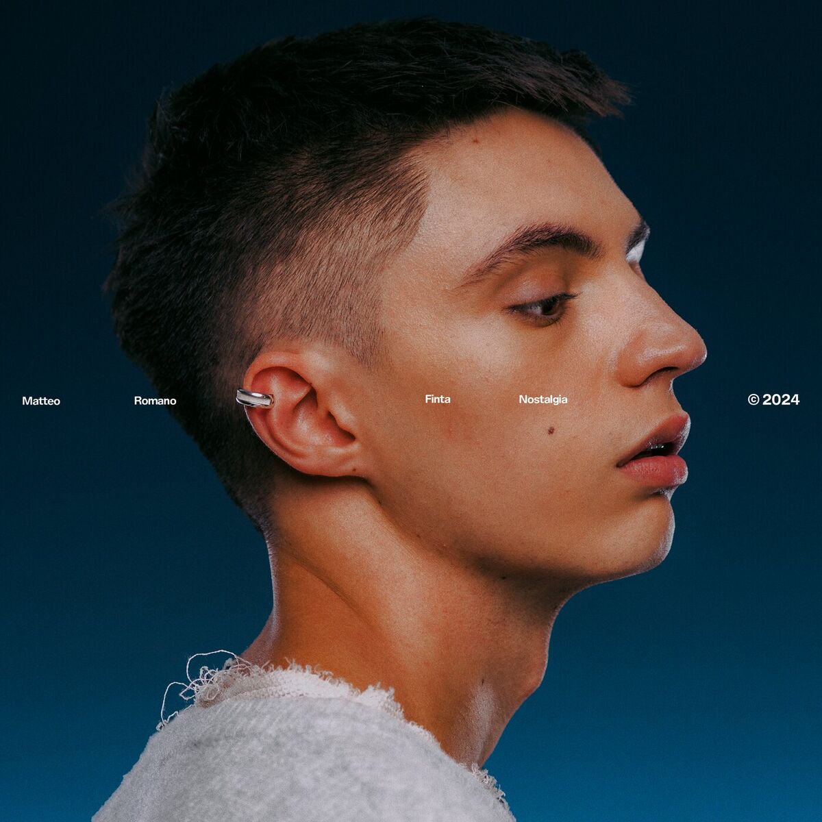Album cover of Finta Nostalgia
