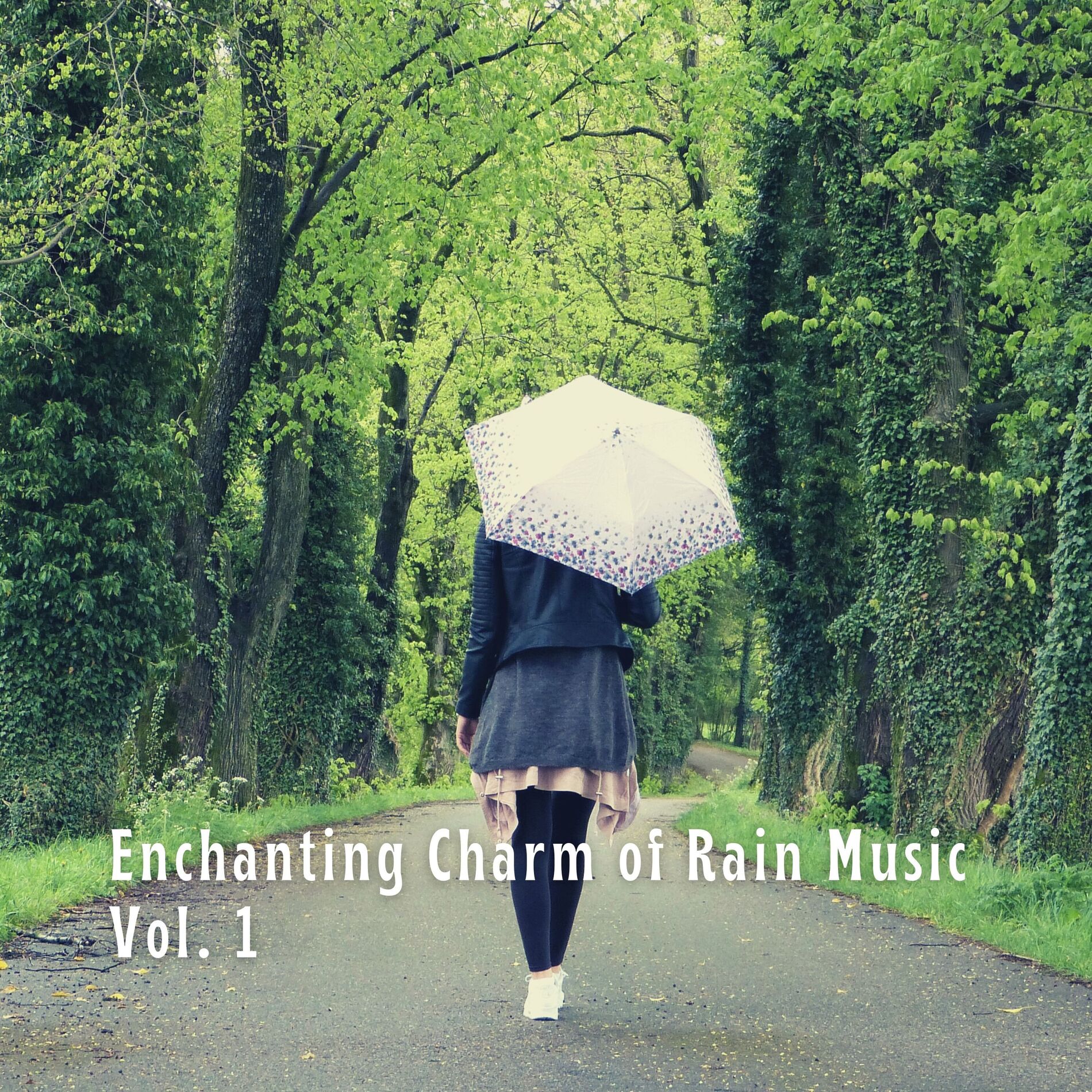 Album cover of Enchanting Charm of Rain Music Vol. 1