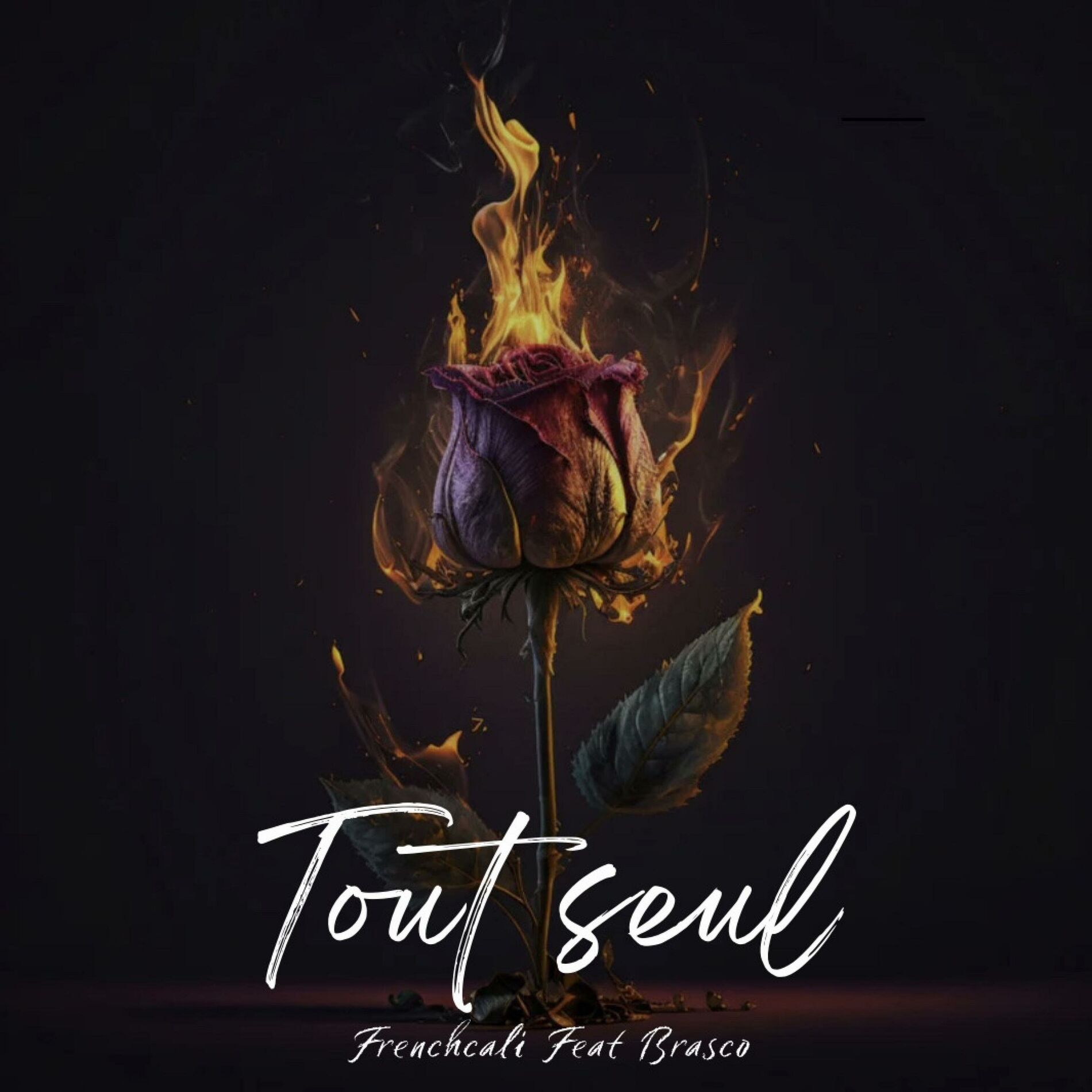 Album cover of Tout seul (feat. Brasco)