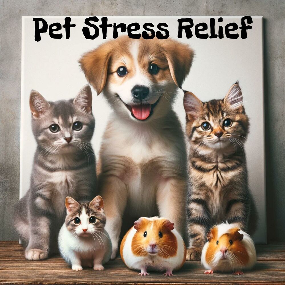 Picture of Pet Stress Relief: Music for Dogs and Cats with PTSD, Relaxing Sounds and Recovery