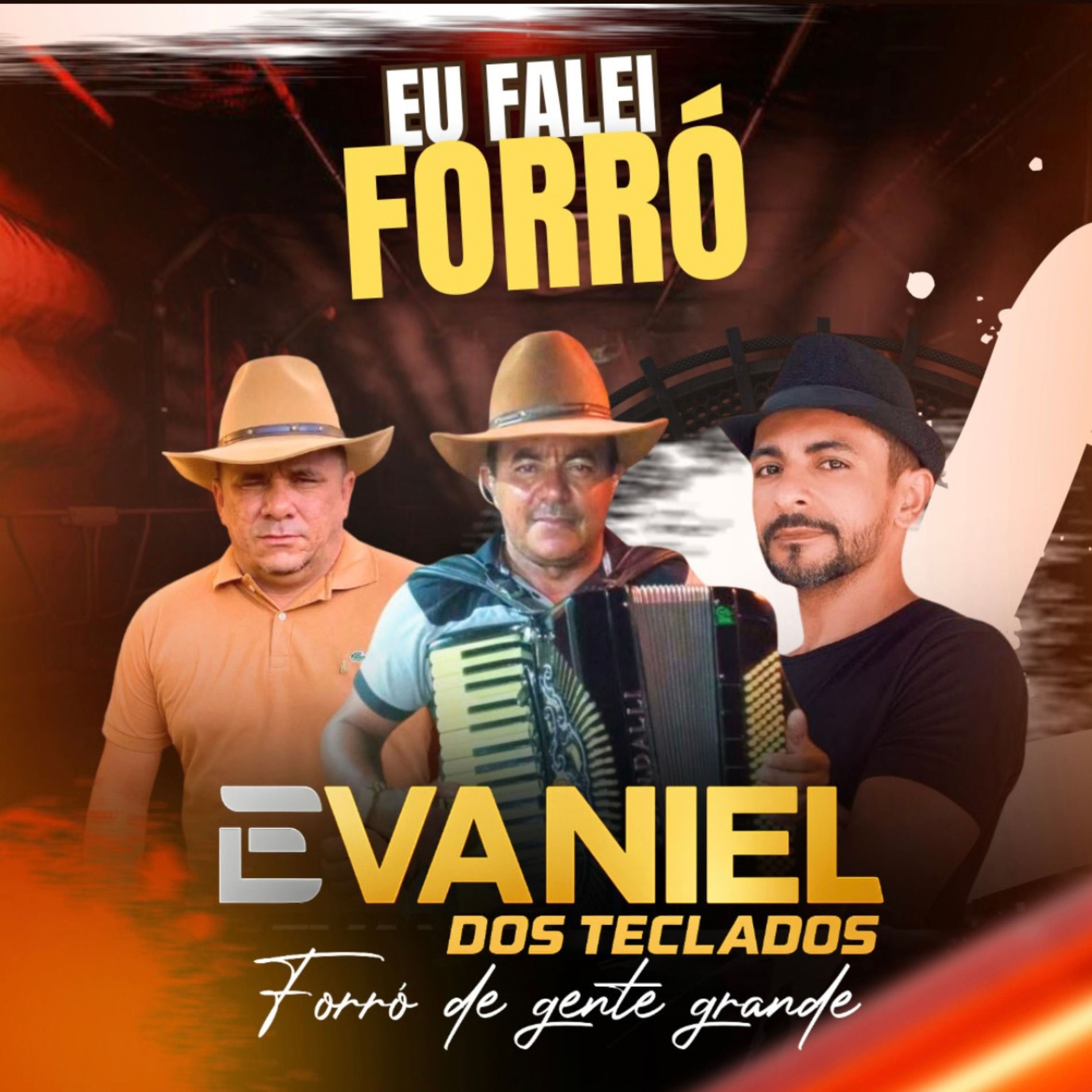 Album cover of Vagabundo