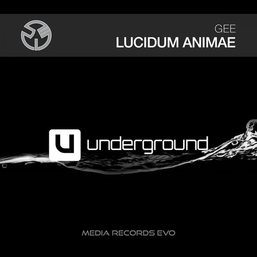 Lucidum Animae