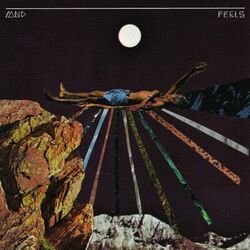 Cover of Feels