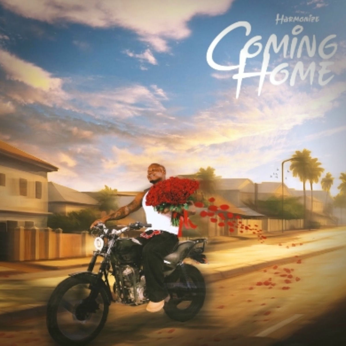 Album cover of Coming Home