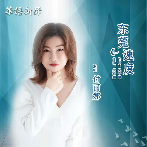 东莞速度