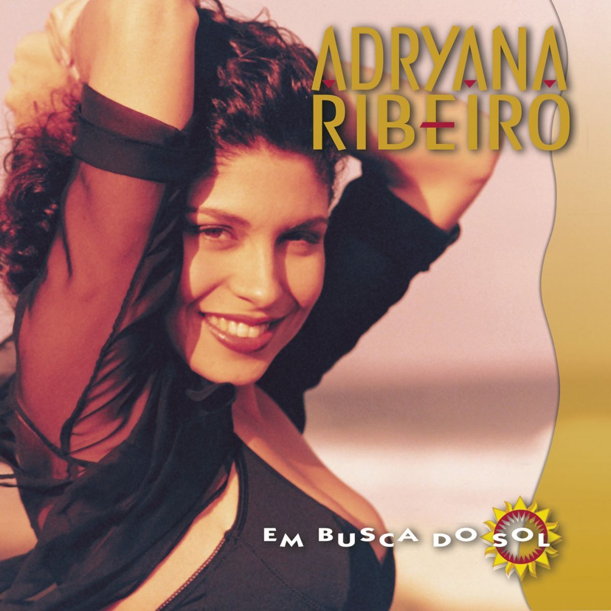 Album cover of Em Busca Do Sol