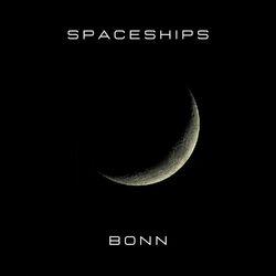 Cover of Spaceships