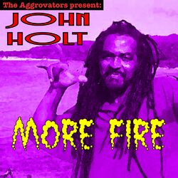 Cover of More Fire