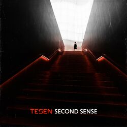 Cover of Second Sense