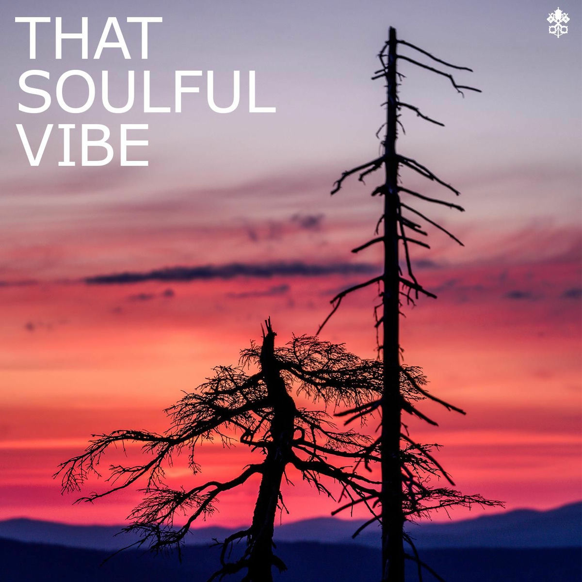 Album cover of That Soulful Vibe