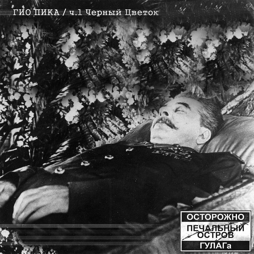 Picture of Чёрный цветок, Часть 1