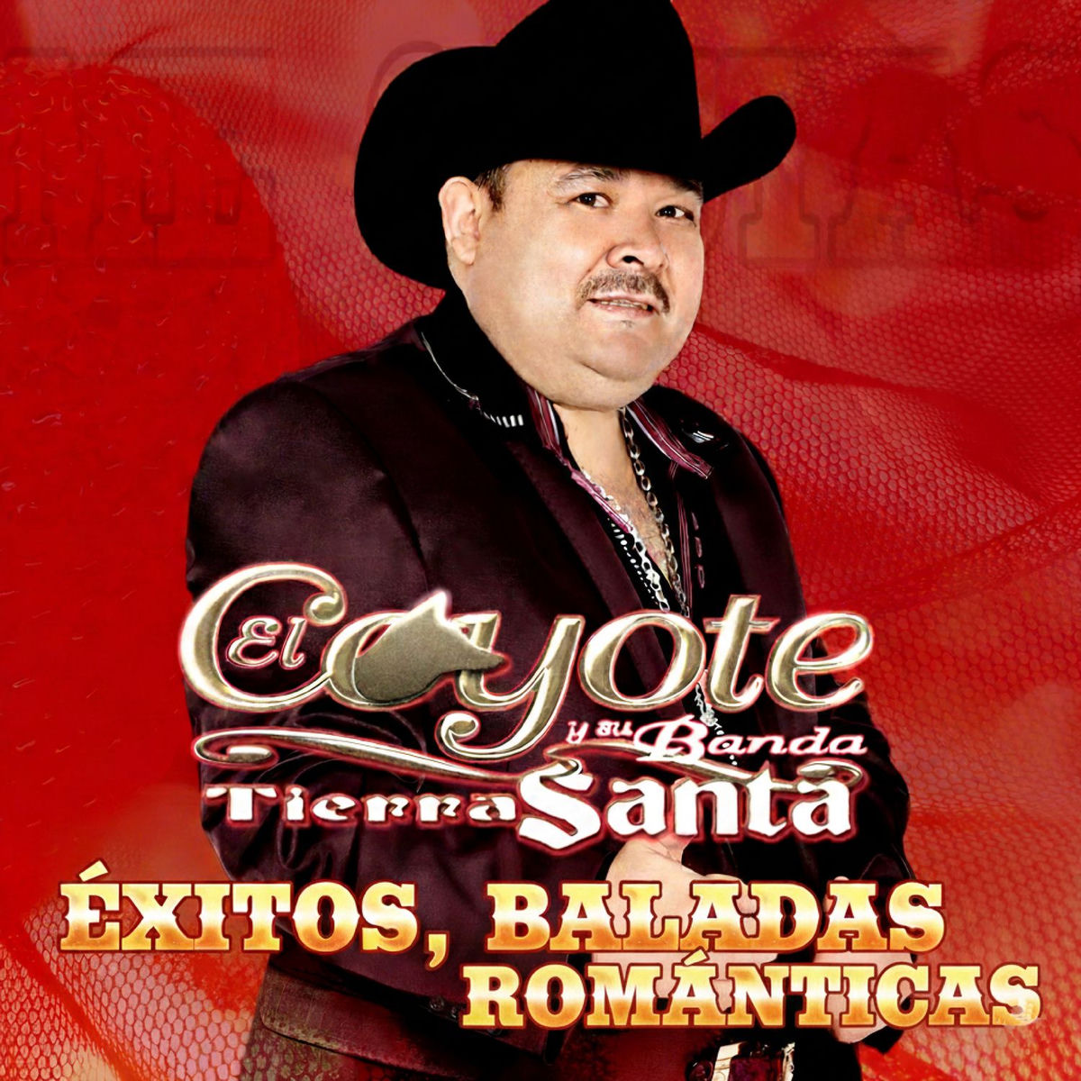 Album cover of Éxitos, Baladas Románticas
