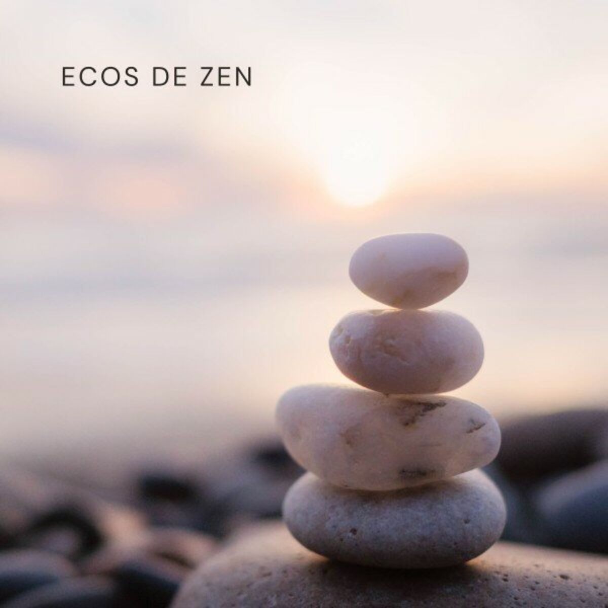 Album cover of Ecos de Zen: Música Zen