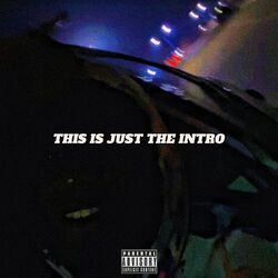 Cover of This Is Just the Intro