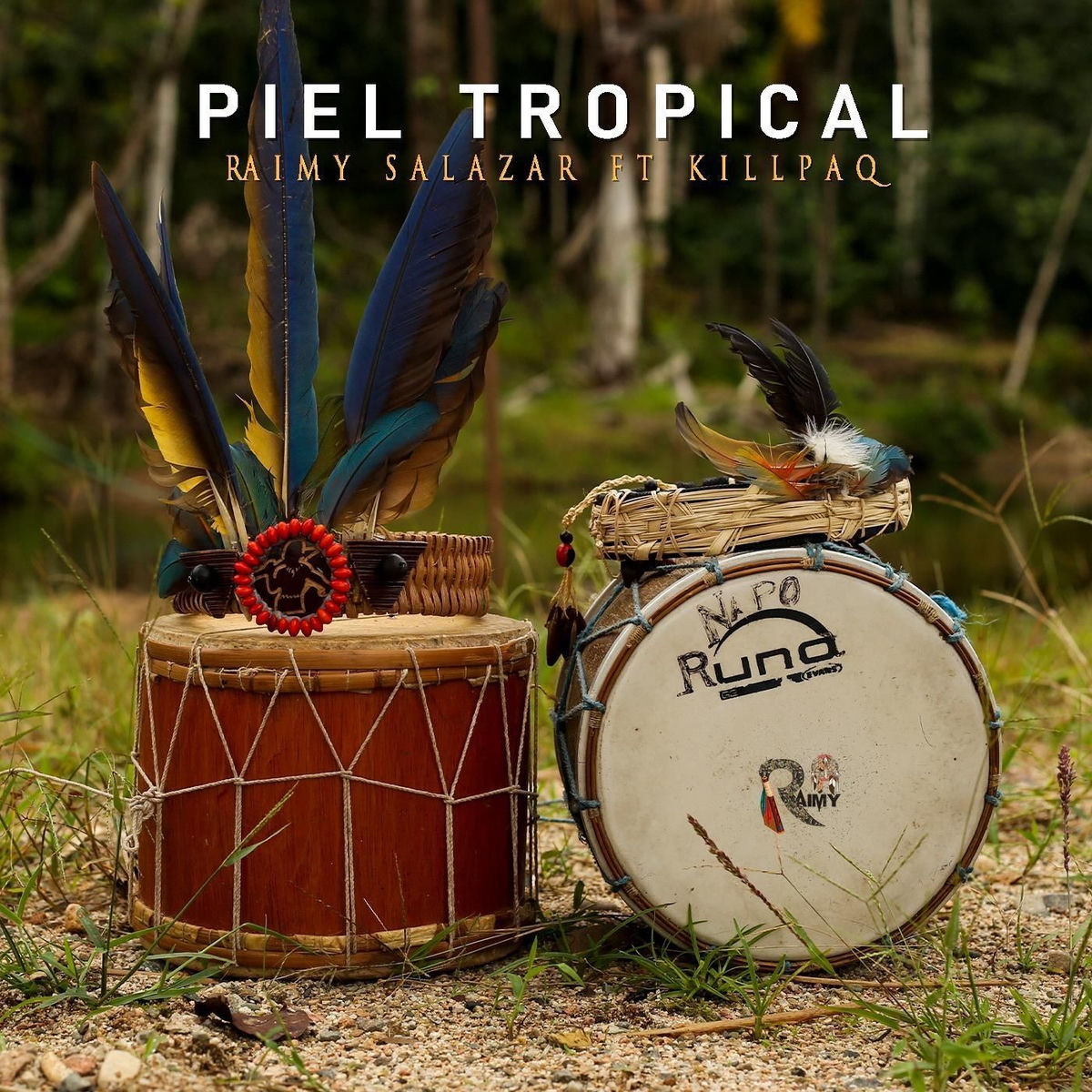 Album cover of Piel Tropical